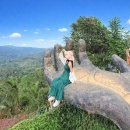 미스터차이나(Mr.China) | 필리핀 세부 자유여행 시티투어 일정 후기 + 가볼만한곳 맛집추천