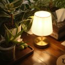 제이에스소아청소년과의원 이미지