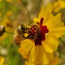 문화광장(공원) 이미지