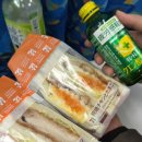 [일본] 교토 나라 당일치기 여행 소소 버스투어 후기 🦌 (내돈내산)