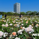 서구 조형벤치 뉴시스