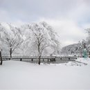 서일농장1 이미지