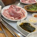 나무아이라이브홀 이미지