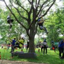 곡성-229 이미지