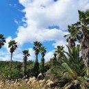 태흥횟집 이미지