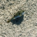 창선어부의집 이미지