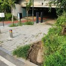 축구장 옆 화단 이미지