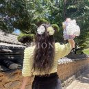 팡팡애견 이미지