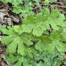 진범이네 농장 이미지