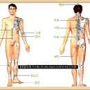 뜸뜨는위치/뜸자리그림] - 경혈 뜸자리 16혈 위치 및 설명 이미지