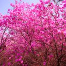 안양자동차검사소 이미지