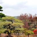 남해조경농원 이미지