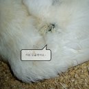 보대농장 이미지