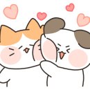 어웨일카페펍 이미지