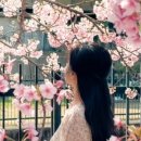 정연하다 이미지