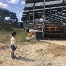 아람목장 이미지