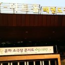 니나의시크릿가든 | 윤하 콘서트 비밀의 화원(5.31) 후기