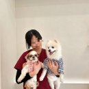 팀 노마드 원주점 이미지