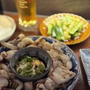 기가로바 | 아늑한 타임스페이스 이자카야 송도 술집 로바타키요