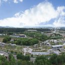 연천세계캠핑체험존 - 펜션 이미지