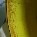 구서동물병원 이미지