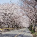 주산 이미지