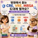 CRE·VRE·MRSA, 병원에서 왜 격리할까요? 이미지