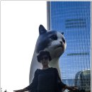 판다(PANDA)통신 이미지