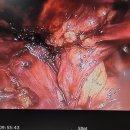 오천성모의원 이미지