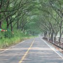 사성암인증센터 이미지