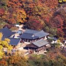 풍수지리(음택, 묘지) 이미지