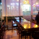 하리애견 이미지