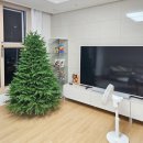 전구인간 | 2025 트마 크리스마스 트리 180cm - 냄새 제거, 지네 전구 1600구 설치 후기