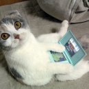 수명농장 이미지