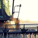 부여 계룡축산 이미지