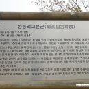 파주 성동리 고분군 이미지