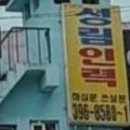 성림소개소
