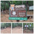 걷다보니 효자봉 #청사초롱 유아숲 체험원