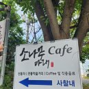 광천사 | 서산시 분위기 좋은 절 카페, 사찰 안에 소나무가 멋진 카페, &#34;소나무아래 카페&#34;