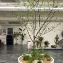 강남대로 525-7 (1) 이미지