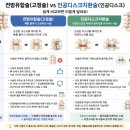 씨유대학병원점 | 목디스크 수술 경추 C5,6번 인공디스크 치환술 후기