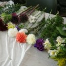 벤자민&데이지 이미지