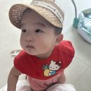 n번째 제주도 한명추가요