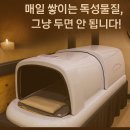 자담인영힐링