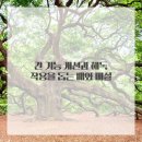 대신자연에너지 이미지