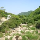 The향펜션