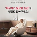 파우제 이미지