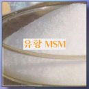 환절기 탈모에는 관절N365!