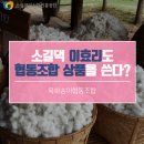 목화송이 협동조합 이미지