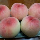 장택농장 이미지